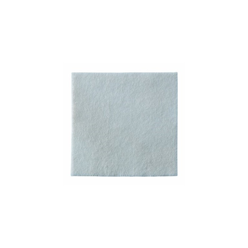 BIATAIN Alginate Pansement ultra-absorbant 10cm x 10cm - Boîte de 10